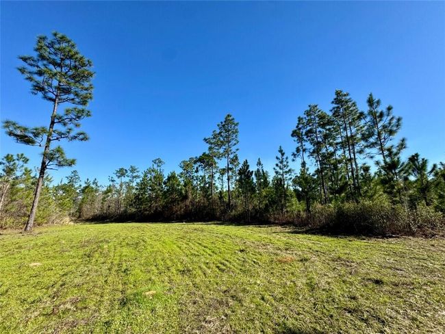 0 Robert White Rd, Home with 0 bedrooms, 0 bathrooms and null parking in Bay Minette AL | Image 27