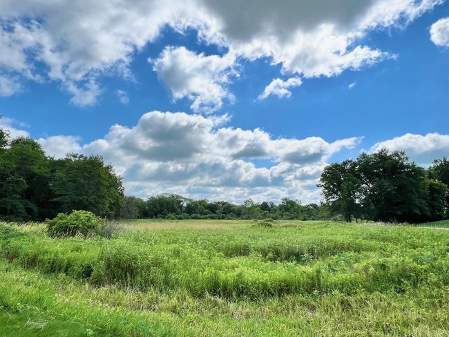 Unit 41 Conservancy Plz, Condo with 2 bedrooms, 2 bathrooms and null parking in Deforest WI | Image 20