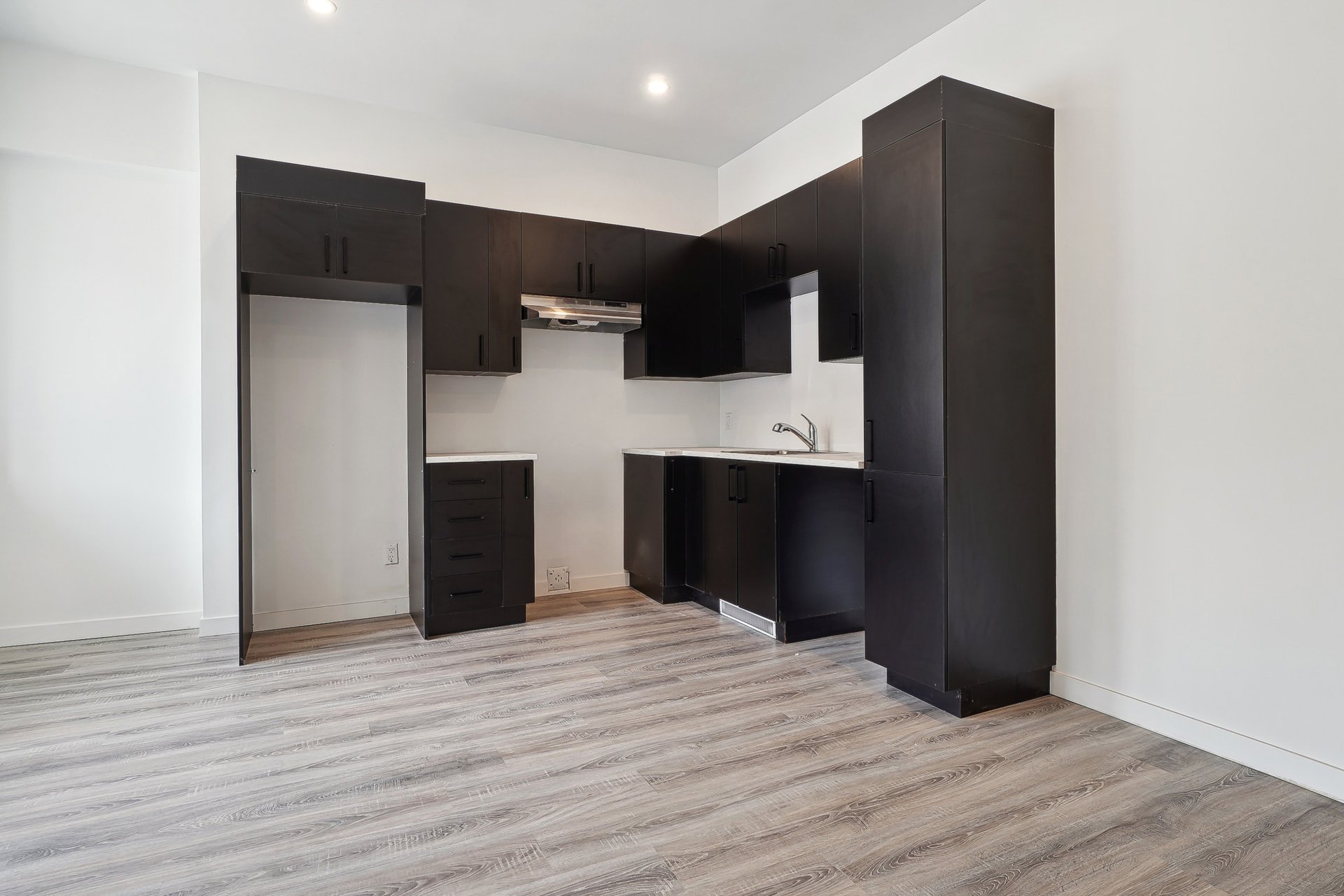 Residential Lease in Montréal (Mercier/Hochelaga-Maisonneuve) 3