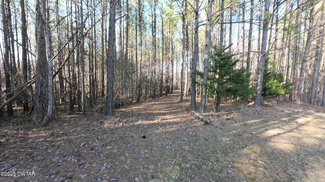 130 Moss Loop, House other with 4 bedrooms, 3 bathrooms and 2 parking in Enville TN | Image 66