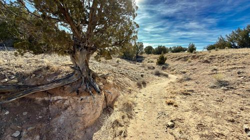 5 Cedar Vista Court, Algodones, NM, 87001 | Card Image