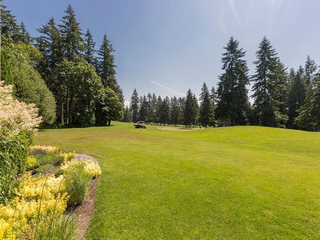 View of yard with a forest view | Image 25