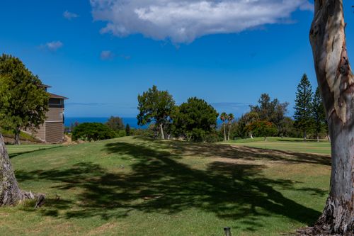 h105-68-3840 Lua Kula St, WAIKOLOA, HI, 96738-5788 | Card Image