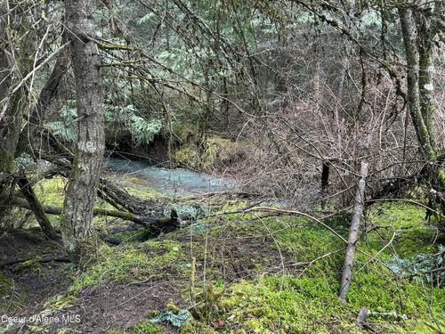 NNA E Bell Canyon Rd., Harrison, ID, 83833 | Card Image