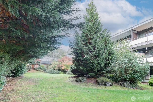 2nd view of backyard greenery | Image 17