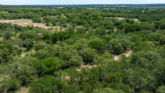 827 Erwin Rd, Home with 0 bedrooms, 0 bathrooms and null parking in Jacksboro TX | Image 22