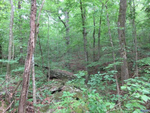 2025 County Road 74, Bridgeport, AL, 35740-7009 | Card Image