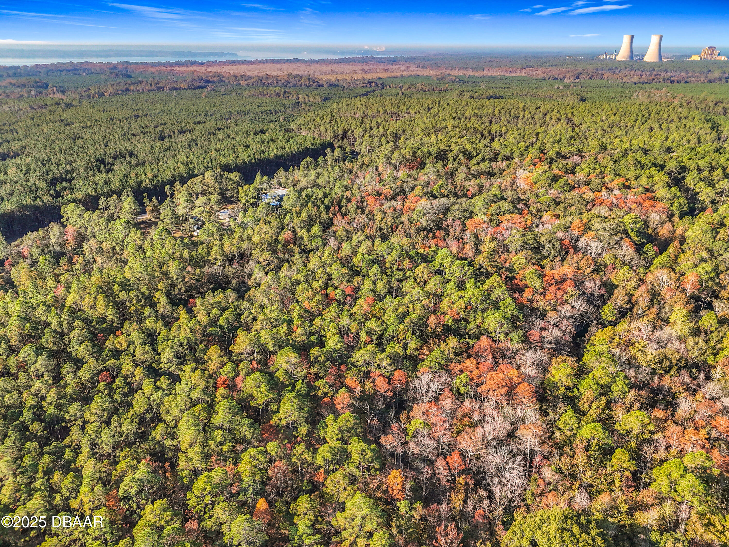Land in Palatka 4