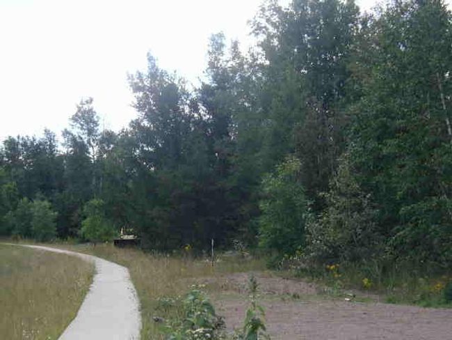 mulberry-2 | Image 15