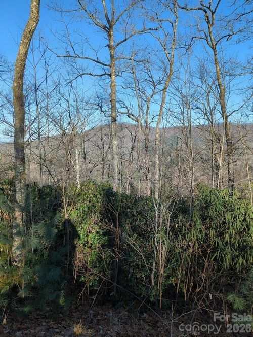 21 Hidden River None, Hayesville, NC, 28904 | Card Image