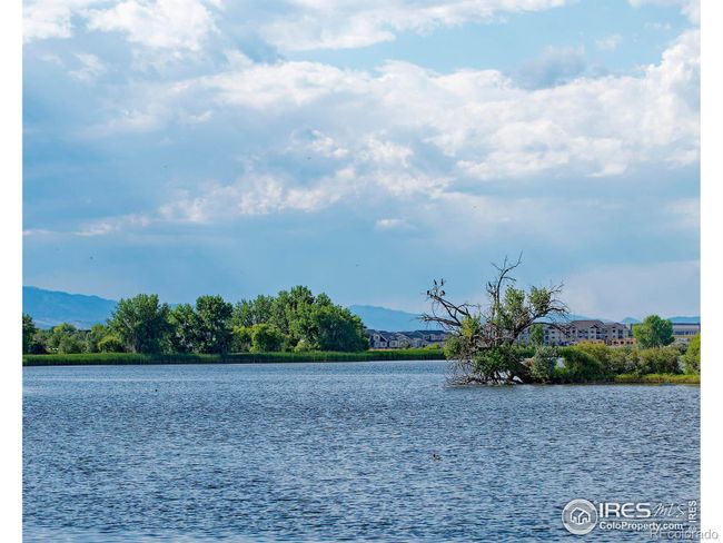 View From Nearby Lakes | Image 20