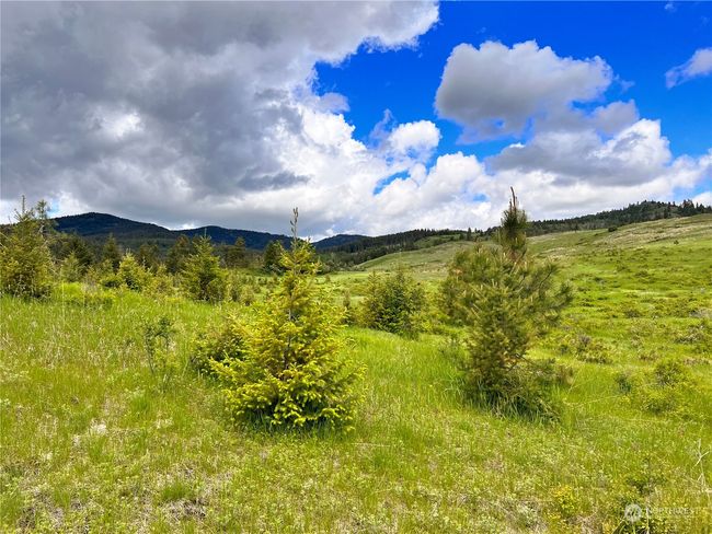 0 TBD Goosmus Creek Rd, Home with 0 bedrooms, 0 bathrooms and null parking in Curlew WA | Image 6