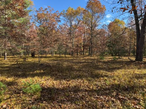 Parcel 11 County Line Road, Free Soil, MI, 49411 | Card Image