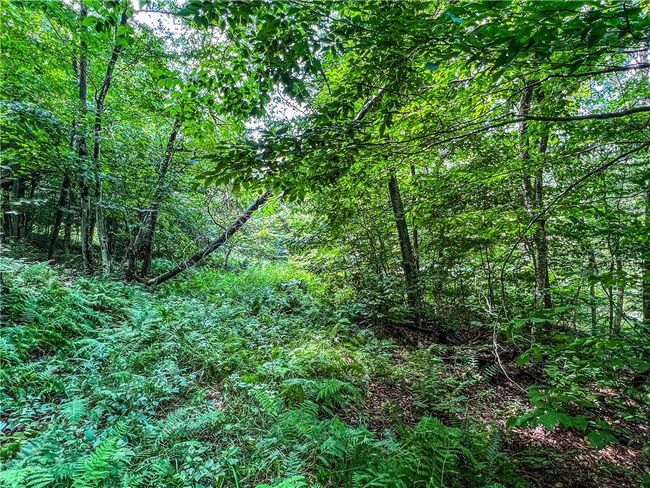 22+ Acres | Image 22