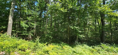 23 Perry Pond Rd, Narrowsburg, NY, 12764 | Card Image