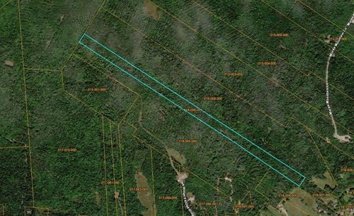 Lot 6-1 Scotts Hill Road, East Machias, ME, 04630 | Card Image