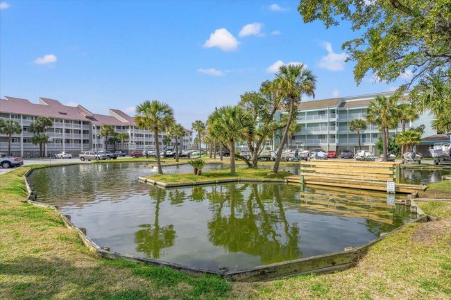Peaceful Lagoon | Image 42