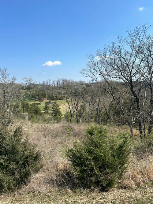 000 Pebble Beach Lot 6a Drive, Branson, MO, 65616 | Card Image