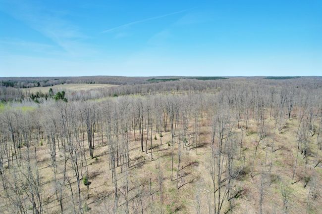 2994 Kentuck Lake Rd, Home with 2 bedrooms, 1 bathrooms and null parking in Phelps WI | Image 39