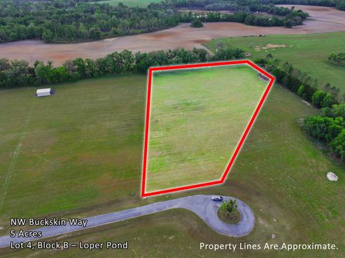 Vacant Nw Buckskin Way, MADISON, FL, 32340 | Card Image
