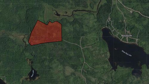 Lot 1 Shaw Big Lake, Murchyville, NS, B0N1X0 | Card Image