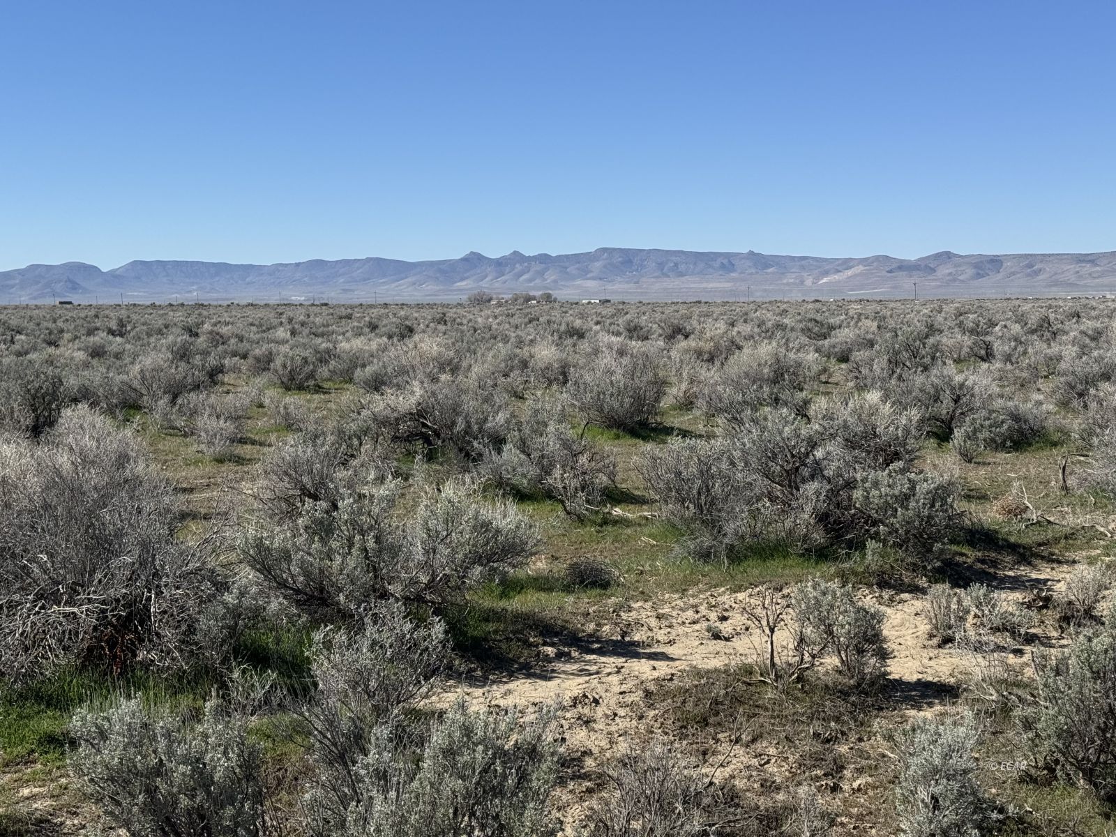 Land in Battle Mountain 5