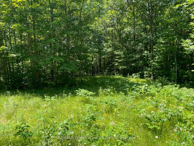 0 Glamor Lake Rd, Home with 0 bedrooms, 0 bathrooms and null parking in Gooderham ON | Image 11