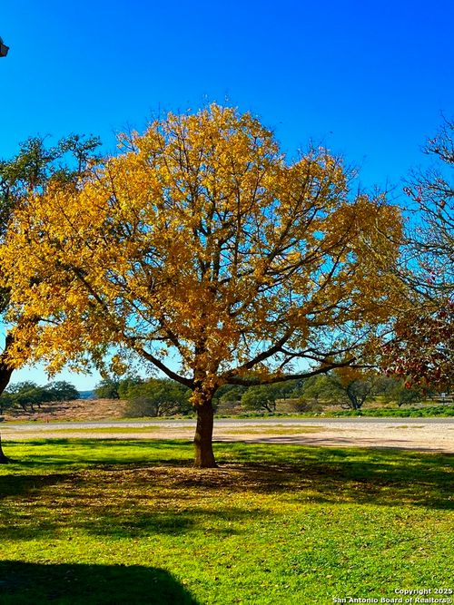 135 N Shapen Springs, Harper, TX, 78631 | Card Image