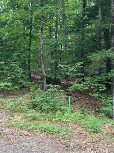 173 - Lot 173 Deer Meadow Road, Home with 0 bedrooms, 0 bathrooms and null parking in Webster NH | Image 1