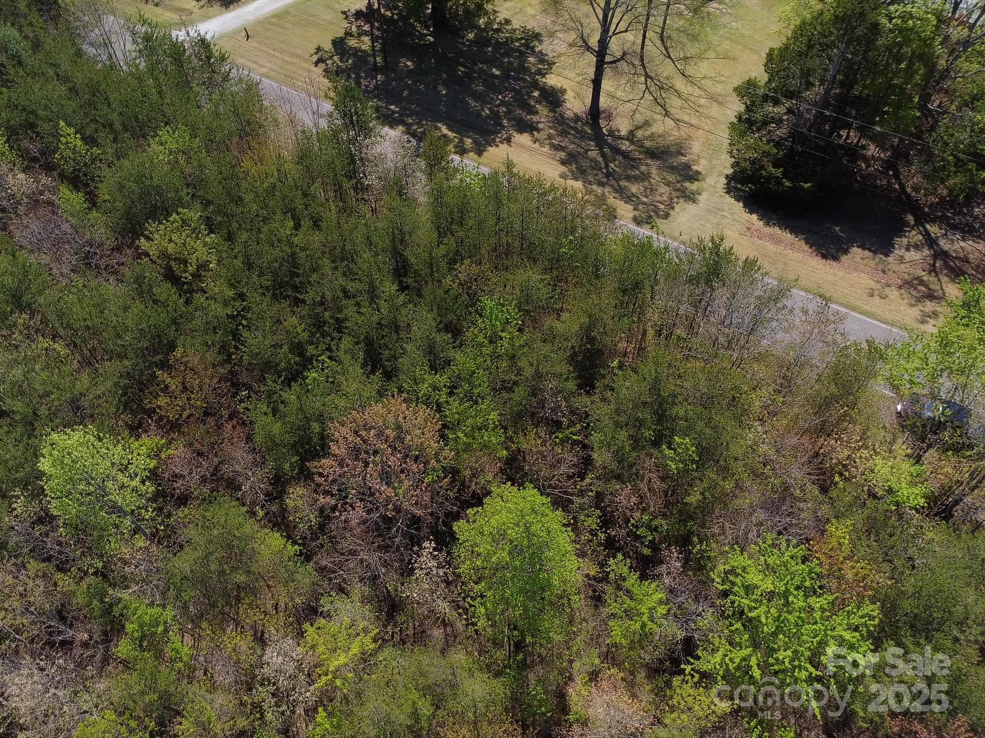 Land in Morganton