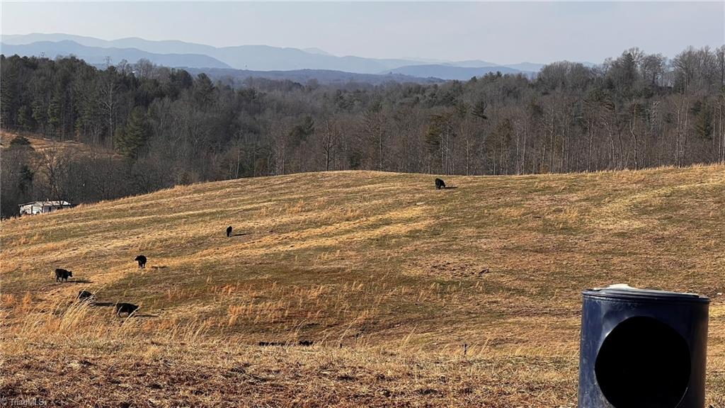 Fairwood Dr, Wilkesboro, NC 28697