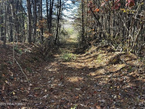 0 Shaddon Road Lot 2, Tellico Plains, TN, 37385 | Card Image