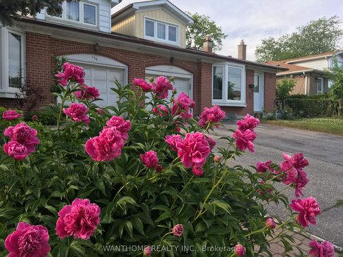148 Old Sheppard Ave, North York, ON, M2J3L9 | Card Image