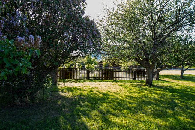 View of yard | Image 51