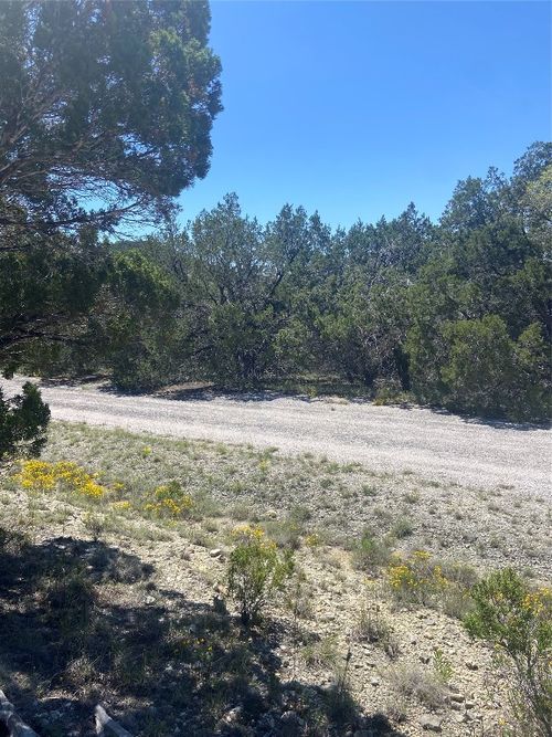 20702 Appaloosa Trl, Leander, TX, 78645 | Card Image