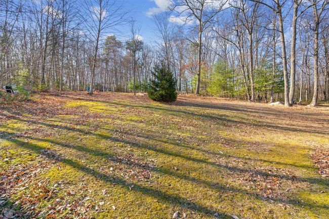 View of yard | Image 18