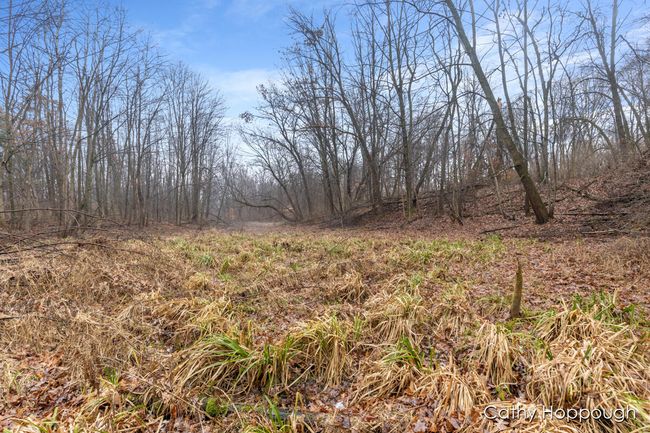 PARCEL-1 - V/L W Snows Lake Road, Home with 0 bedrooms, 0 bathrooms and null parking in Fenwick MI | Image 13