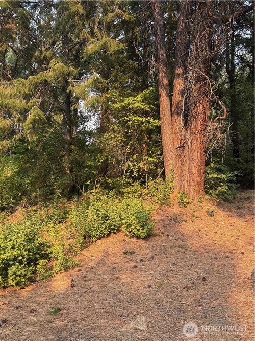 0 Little Chumstick Creek Rd, Leavenworth, WA, 98826 | Card Image