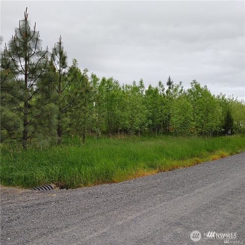 0 Nicholson Road, Toledo, WA, 98591 | Card Image