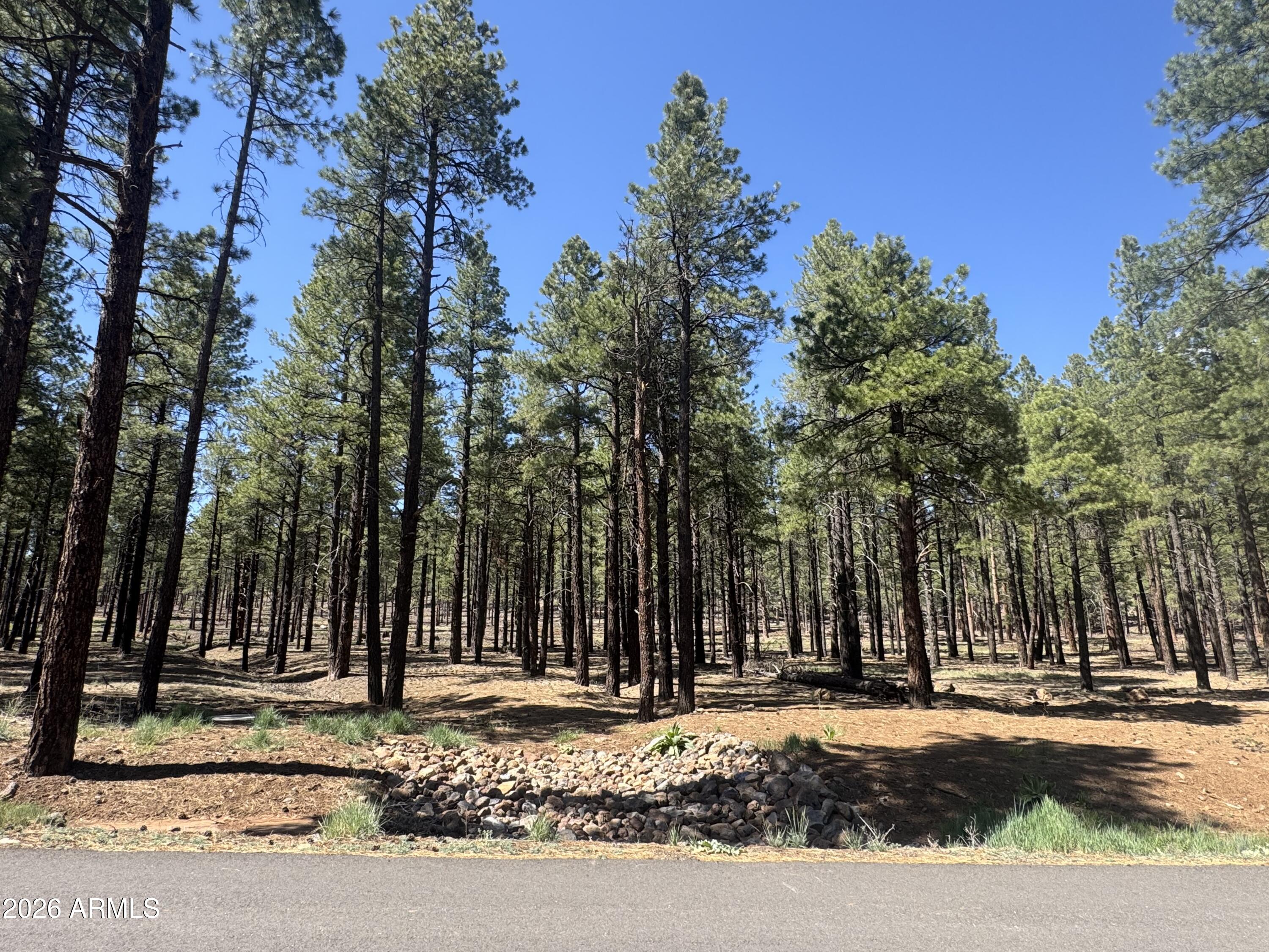 Land in Flagstaff 3