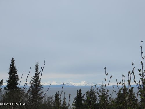 L3 Sterling Hwy, Clam Gulch, AK, 99568 | Card Image