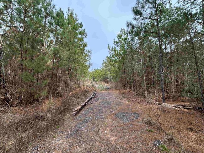 435 Gore Store Rd, Home with 0 bedrooms, 0 bathrooms and null parking in Warren TX | Image 8