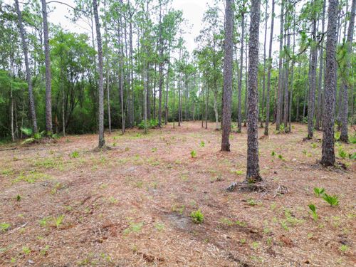 TBD Ne Lowery Acres Rd, Hosford, FL, 32334 | Card Image