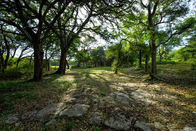 543 Narrows Rd, Home with 0 bedrooms, 0 bathrooms and null parking in Blanco TX | Image 22