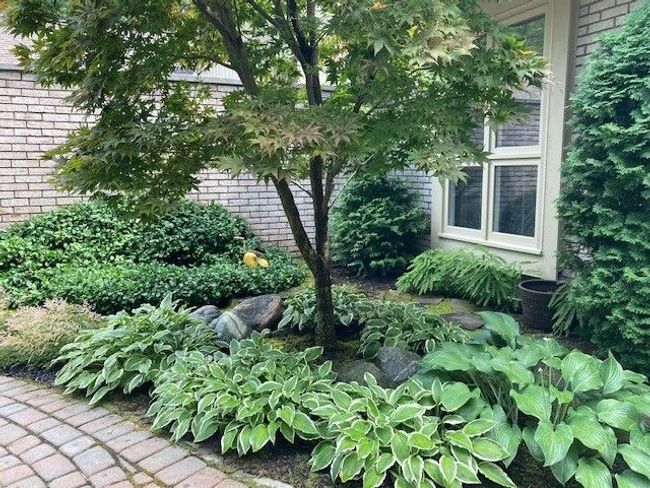 Many perennial plants for low maintenance | Image 4