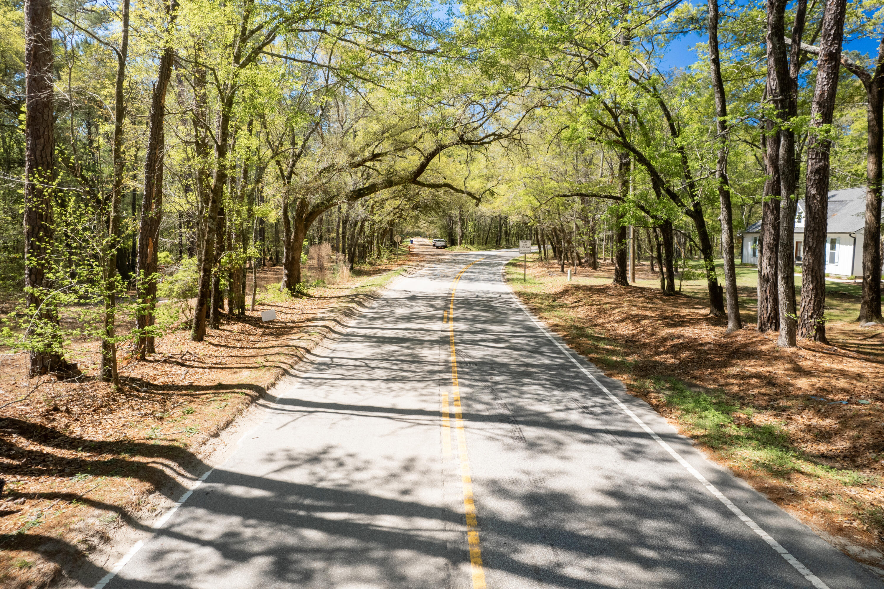 Sago Ct, Johns Island, SC 29455