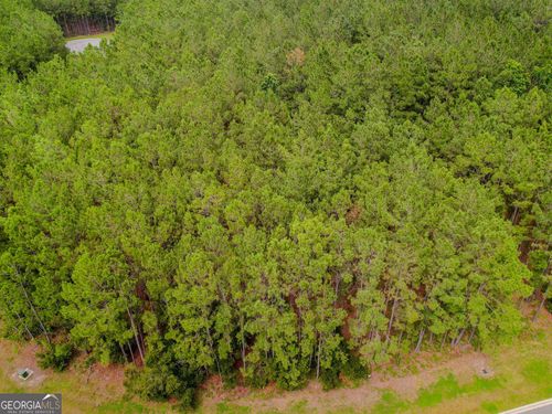 LOT 35 Sea Turtle Ln, Waverly, GA, 31565 | Card Image