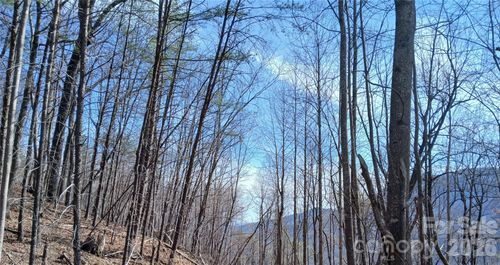 39-00 Piney Gate Rd, Saluda, NC, 28773 | Card Image