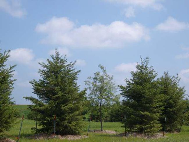 L119 Naomi Trail, Home with 0 bedrooms, 0 bathrooms and null parking in Windsor WI | Image 4
