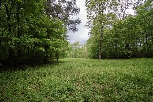 TBD Keno Rd, Laurel Fork, VA, 24352 | Card Image